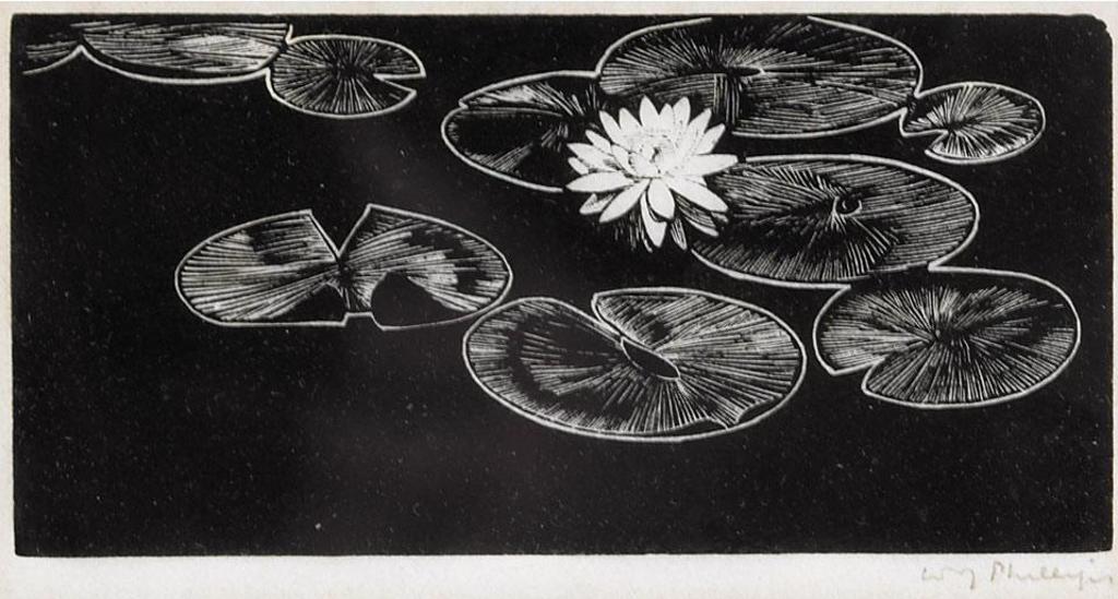 Walter Joseph (W.J.) Phillips (1884-1963) - Lily Pads