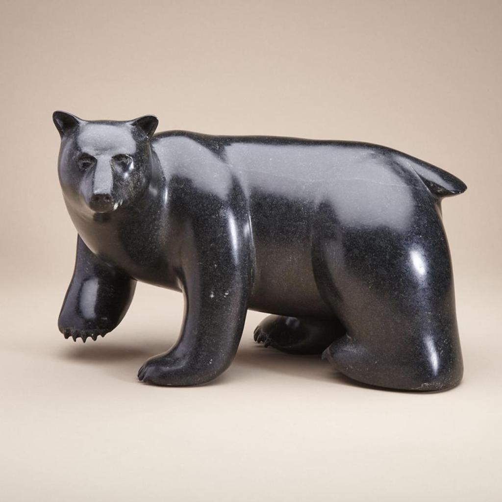 S. J. Foster - Stalking Grizzly