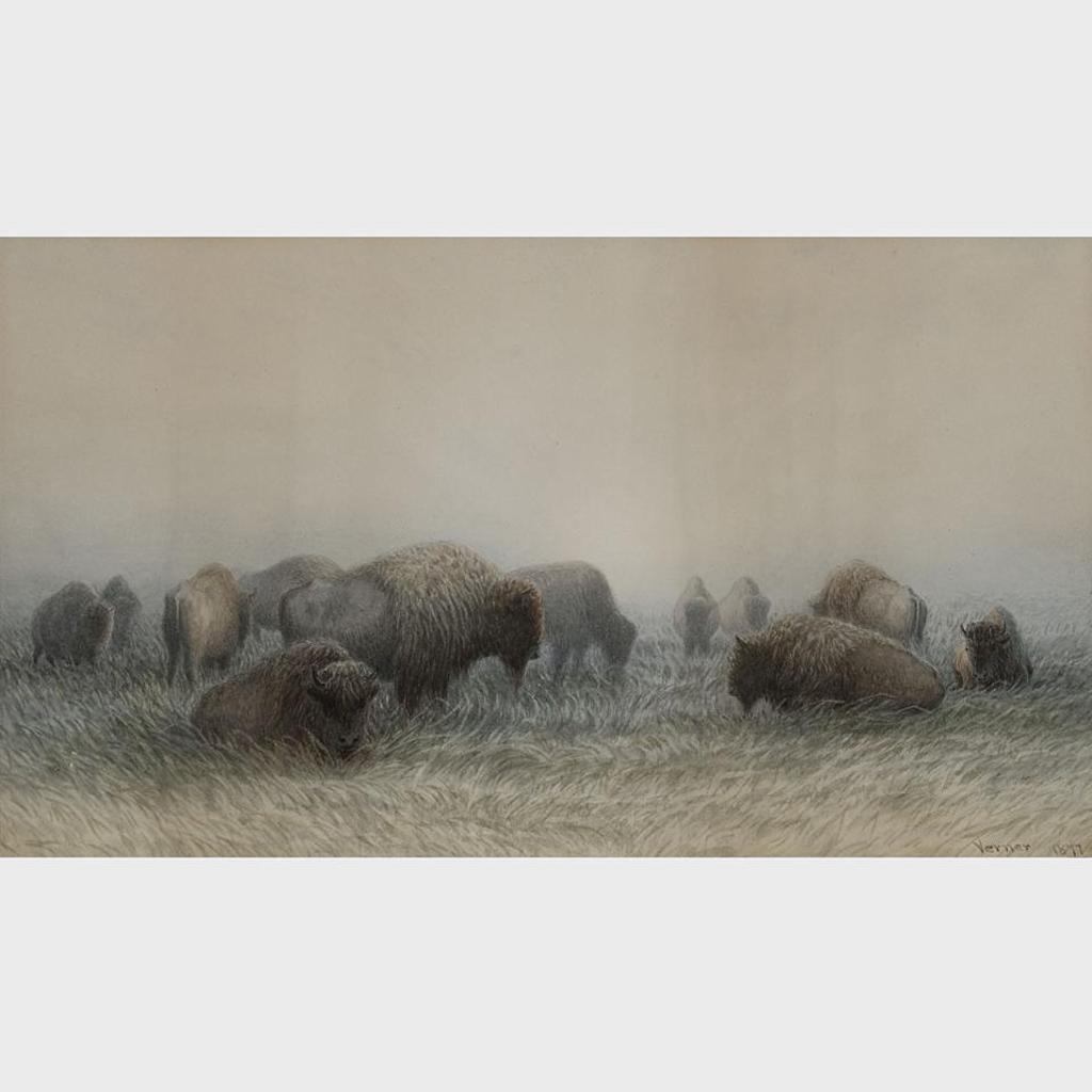 Frederick Arthur Verner (1836-1928) - Buffalo Grazing