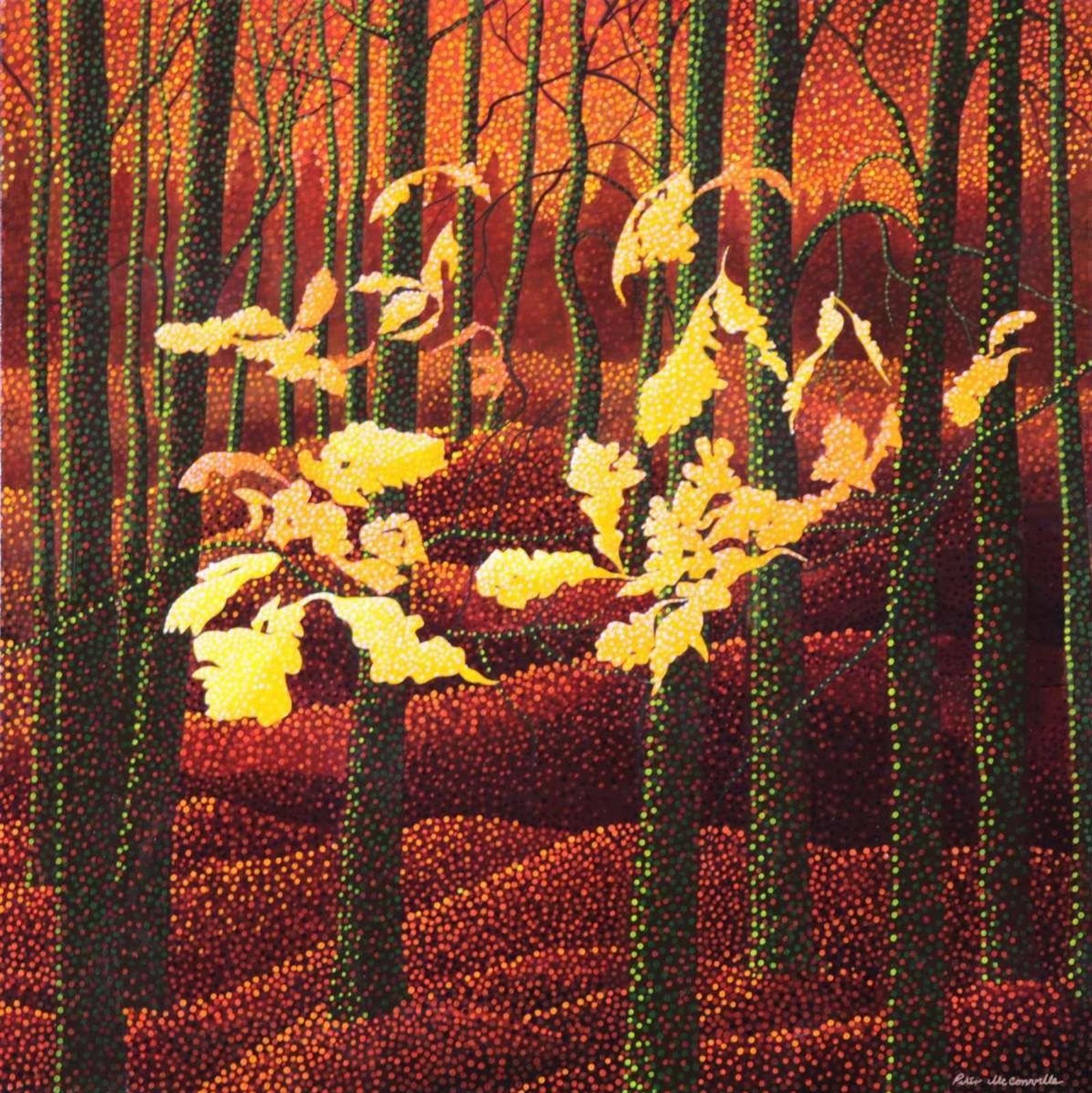 Peter McConville (1951) - Oak Leaf Bluff