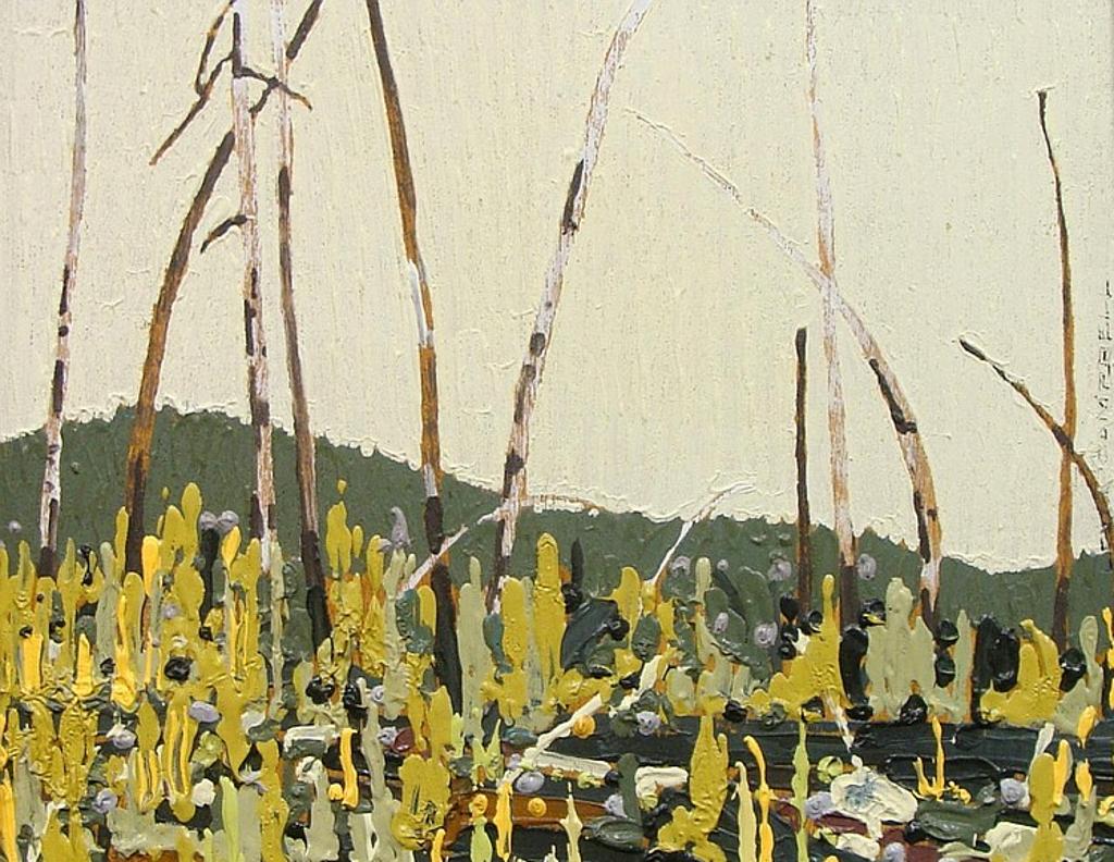 Leyda Campbell (1949) - Rebirth of a Burned Land