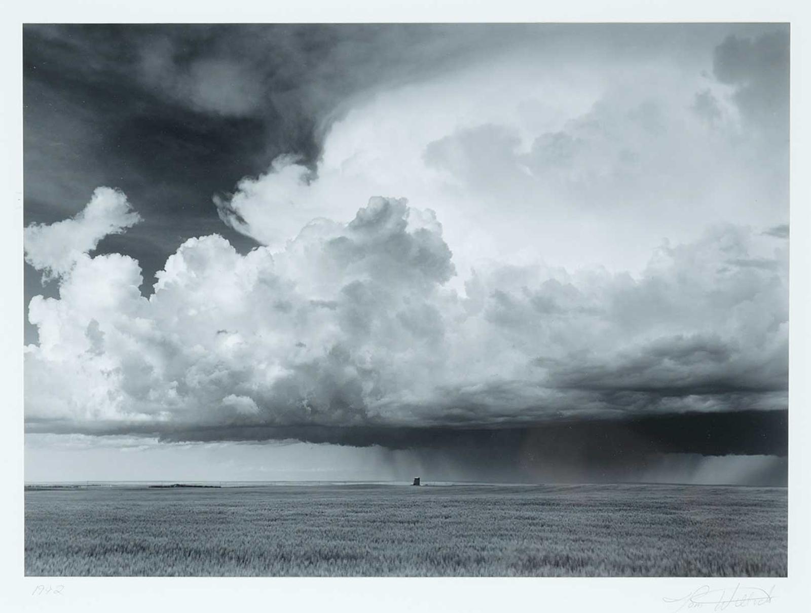 Tom Willock - Sleepy Hollow, Alberta