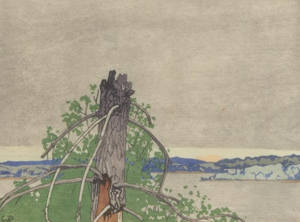 Walter Joseph (W.J.) Phillips (1884-1963) - The Stump