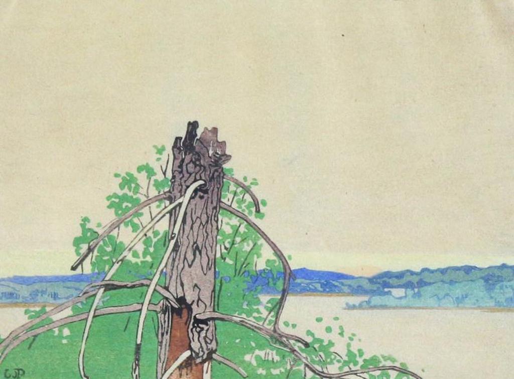 Walter Joseph (W.J.) Phillips (1884-1963) - The Stump; 1928