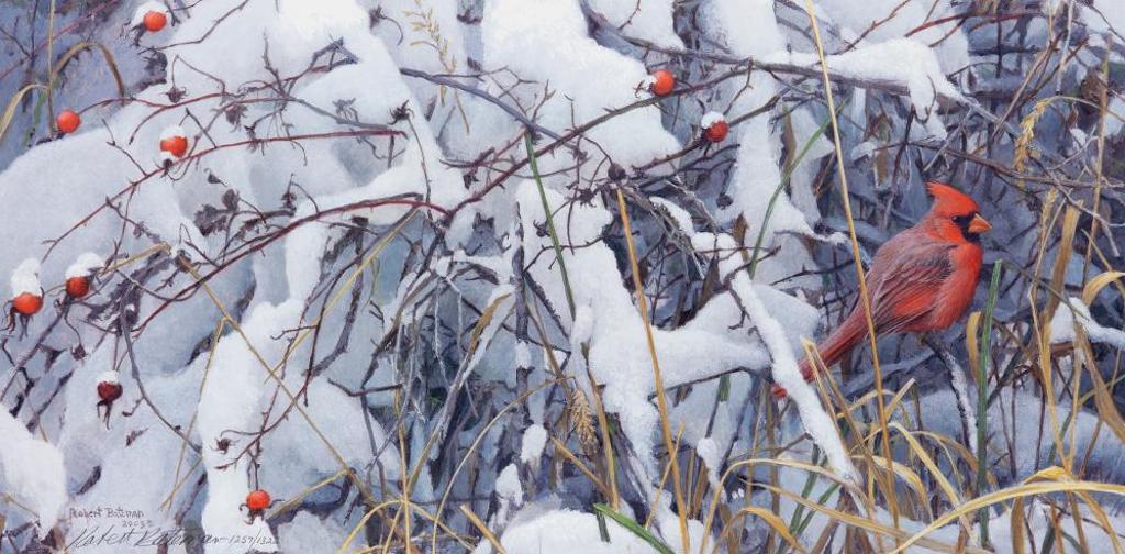 Robert Mclellan Bateman (1930-1922) - Fresh Snow - Cardinal