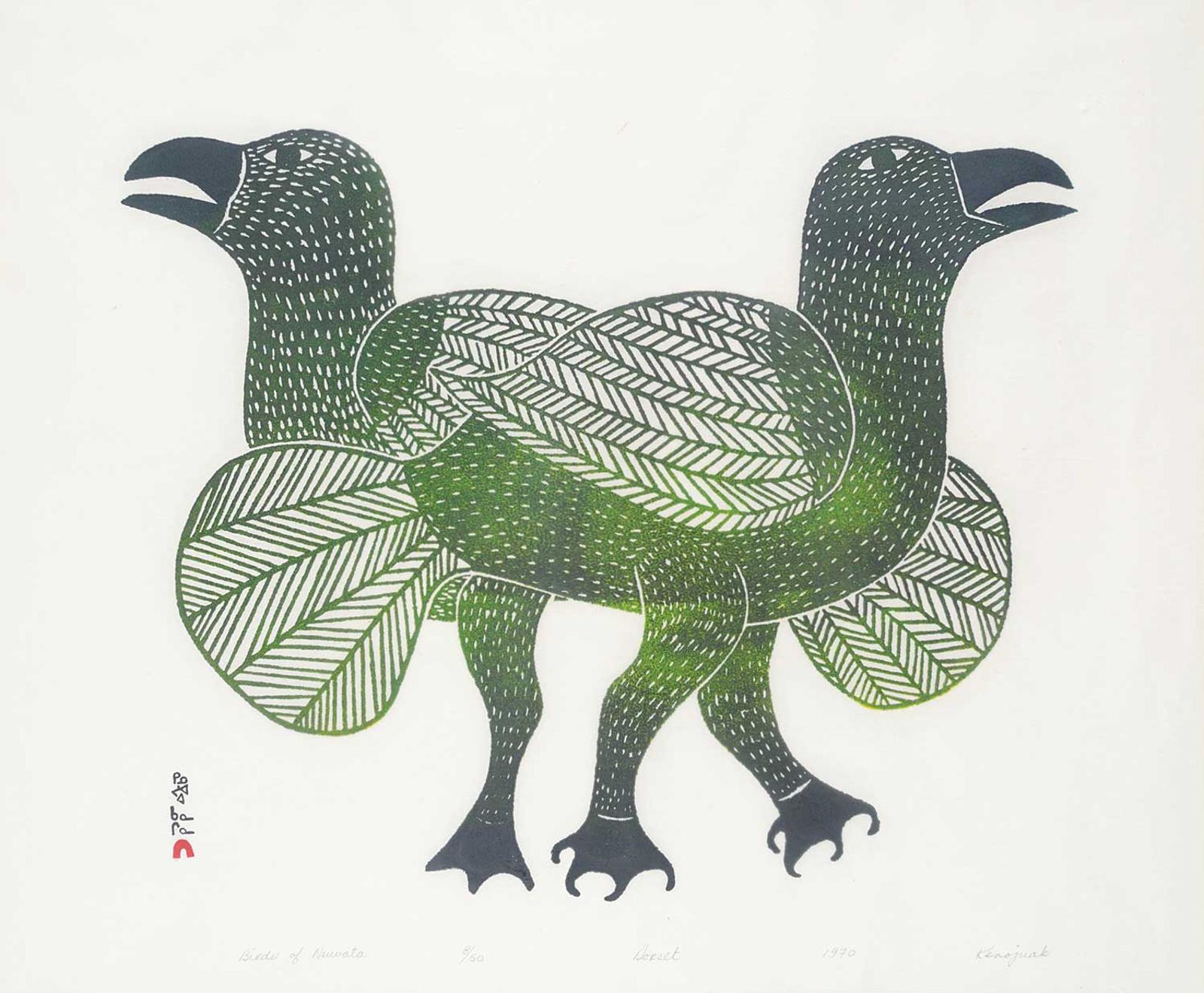 Ashevak - Birds of Nuwata #8/50