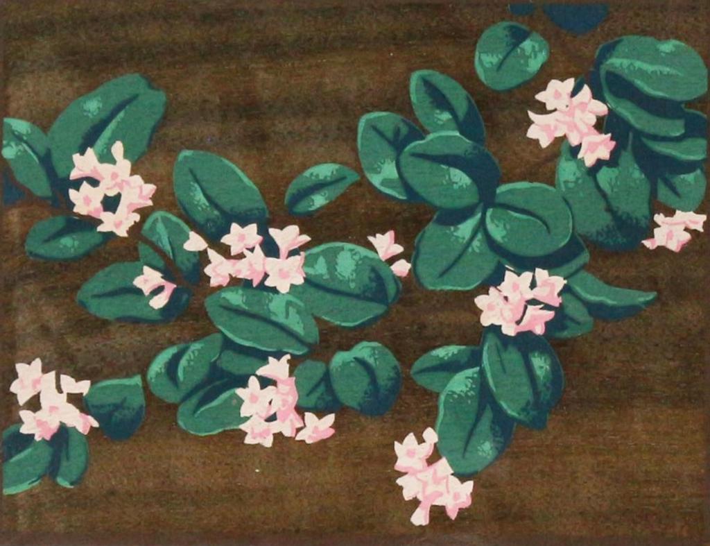 Alfred Joseph (A.J.) Casson (1898-1992) - Water Lilies