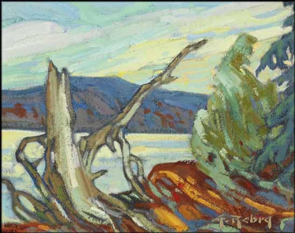 Gaston Rebry (1933-2007) - Vieille souche