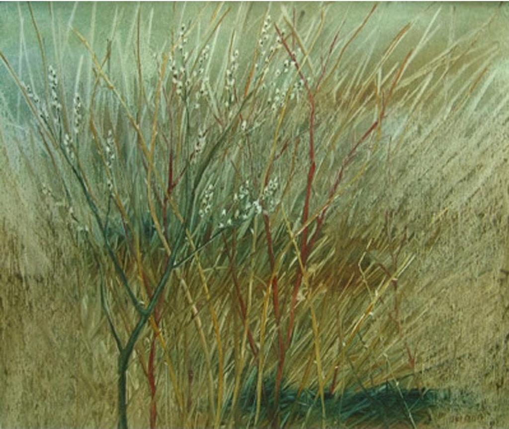 Kemp Thomas Kieffer - Pussy Willows
