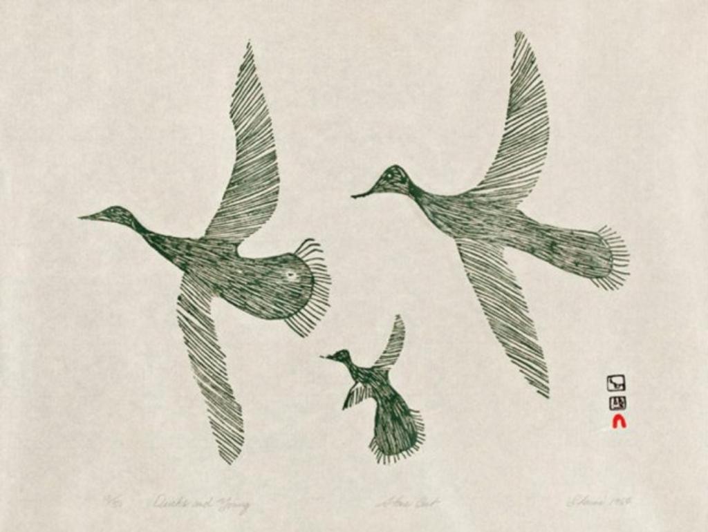 Sharni Pootoogook (1922-2003) - Ducks and Young, 1964 #25, stonecut, 18/50, 15 x 20 in, 38.1 x 50.8 sight, 21.5 x 26.5 in, 54.6 x67.3 cm framed