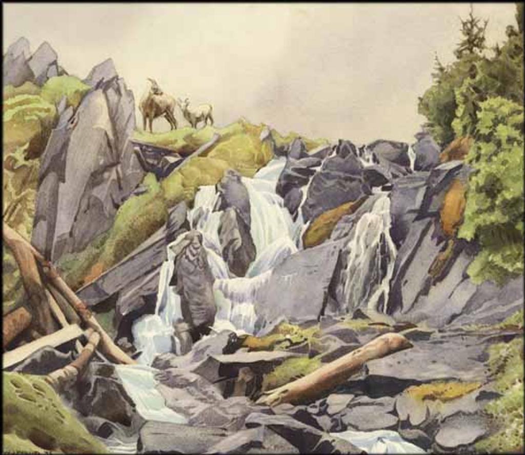 Walter Joseph (W.J.) Phillips (1884-1963) - Bighorn Ewes