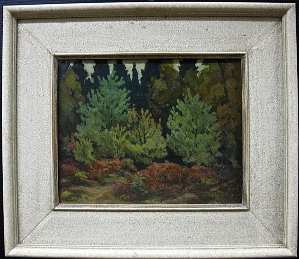 Herbert Sidney Palmer (1881-1970) - Sketch For “Young Conifirs”