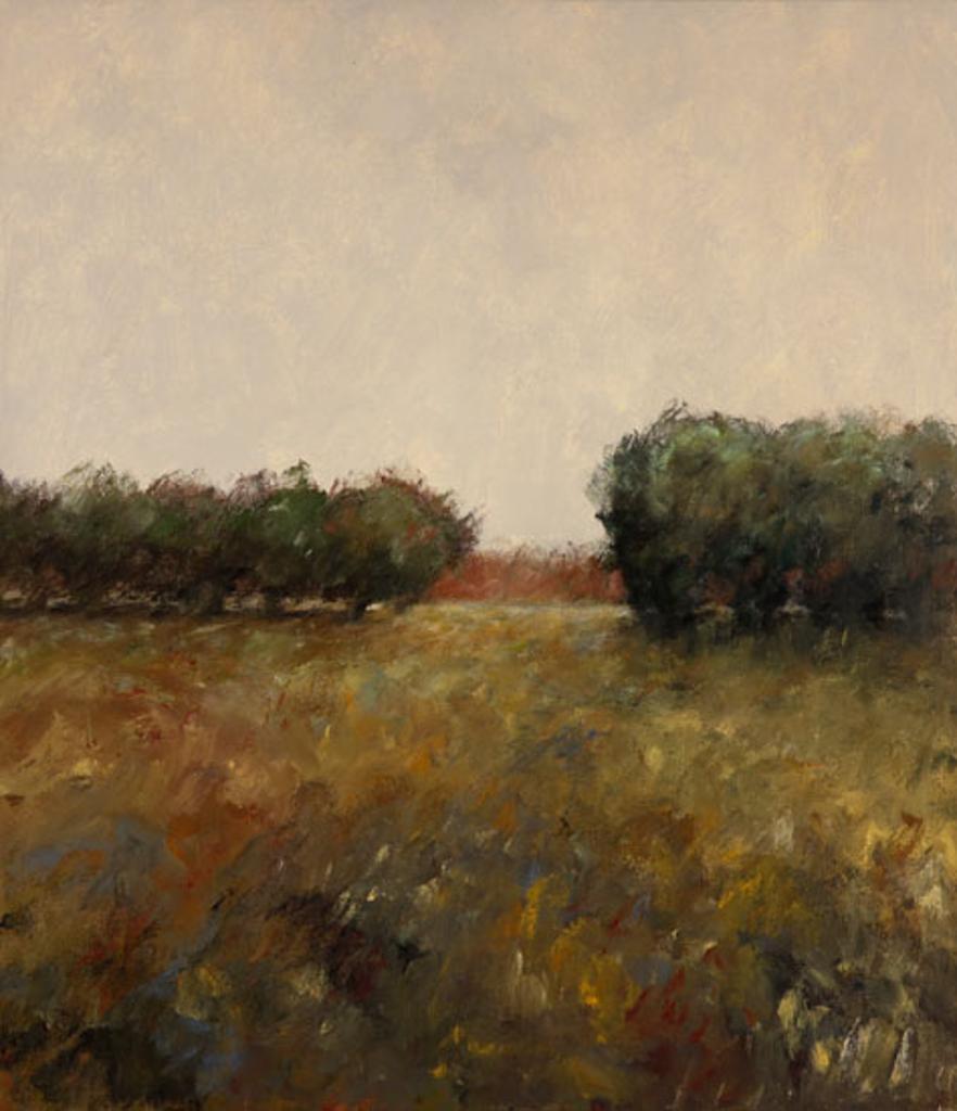 Richard Storms (1947) - Meadow (03611/82)