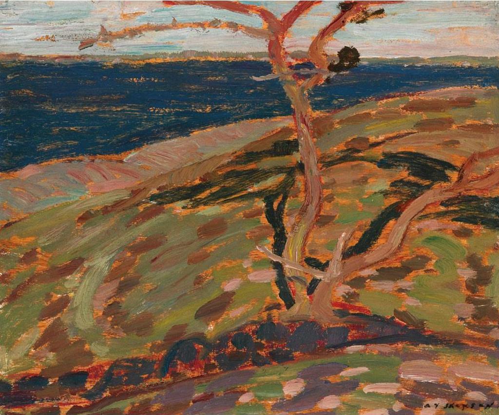 Alexander Young (A. Y.) Jackson (1882-1974) - Pine Island, 1919