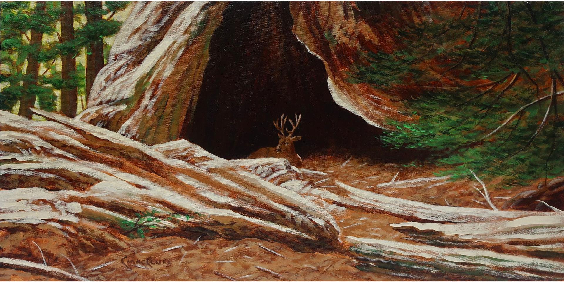 Chris MacClure (1943) - Natures Hobbit