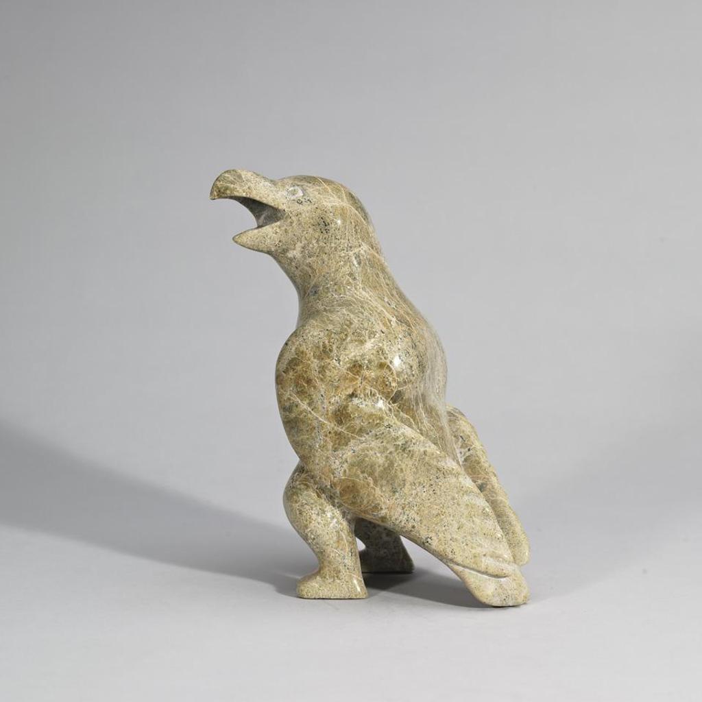 Qimiata Nungusuituq (1948) - Bird