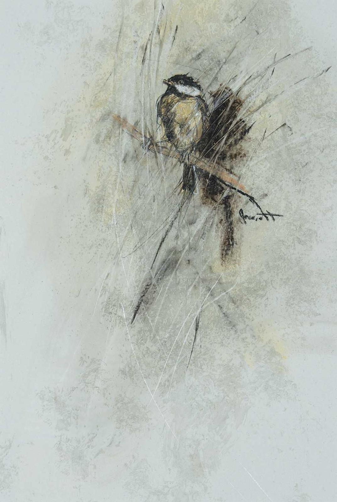 Jane Everett - Chickadee IV
