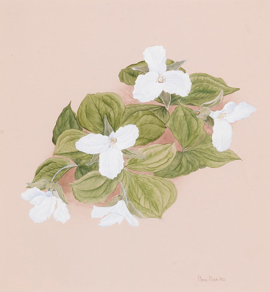 Anne E. Rich - Trillium