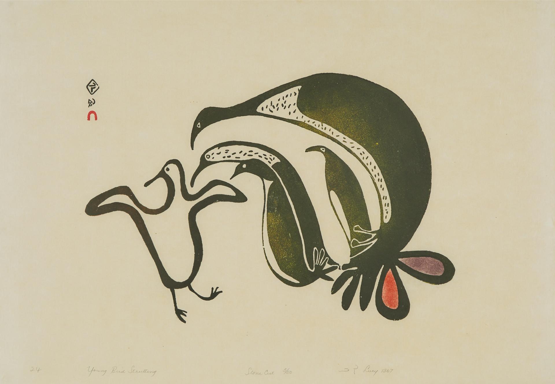 Lucy Qinnuayuak (1915-1982) - Young Bird Strutting
