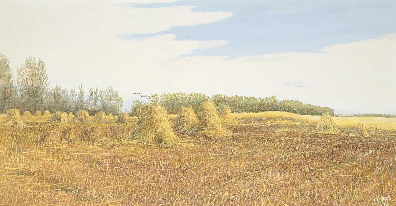 Joseph [Joe] Ferenc Acs (1936) - Stooks [Northern Alberta near Flatbush]