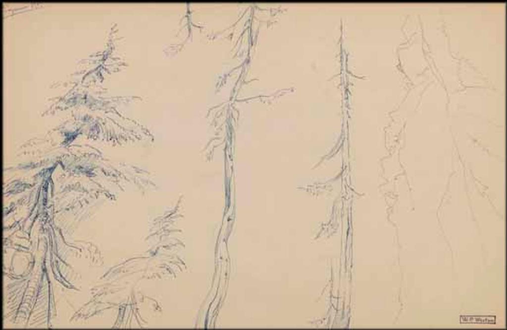 William Percival (W.P.) Weston (1879-1967) - Seymour Mtn.