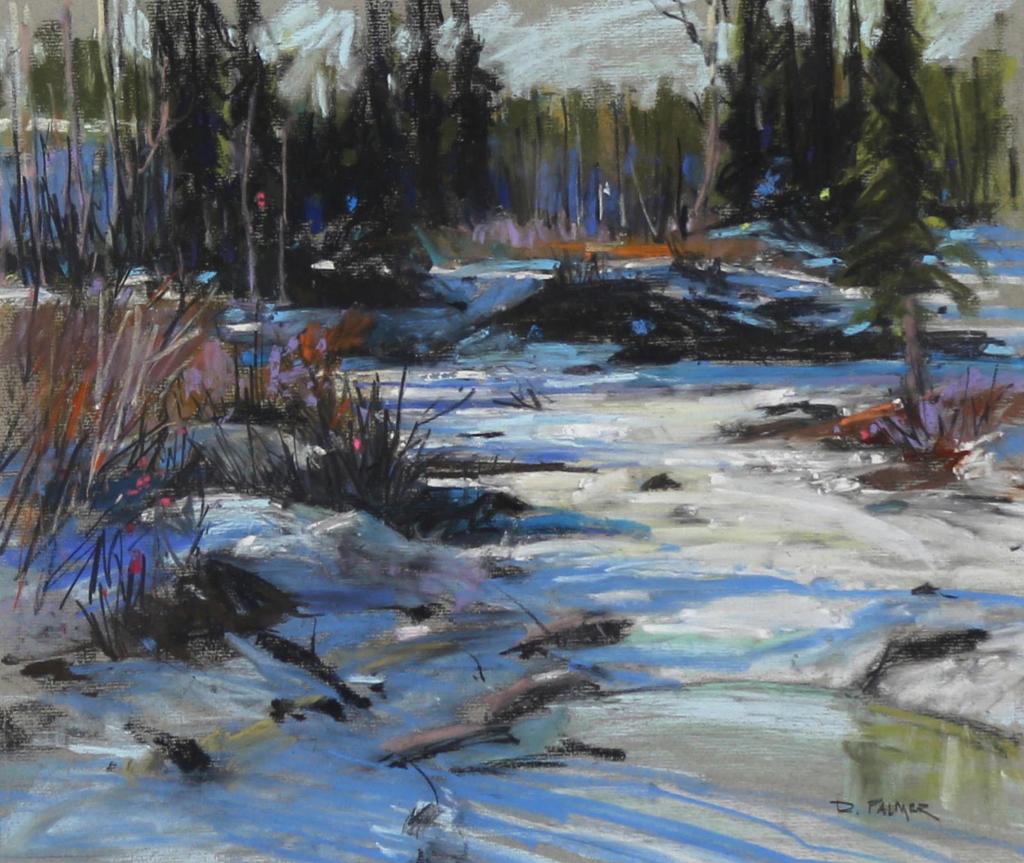 Doug Palmer - January, Upper Trap Creek