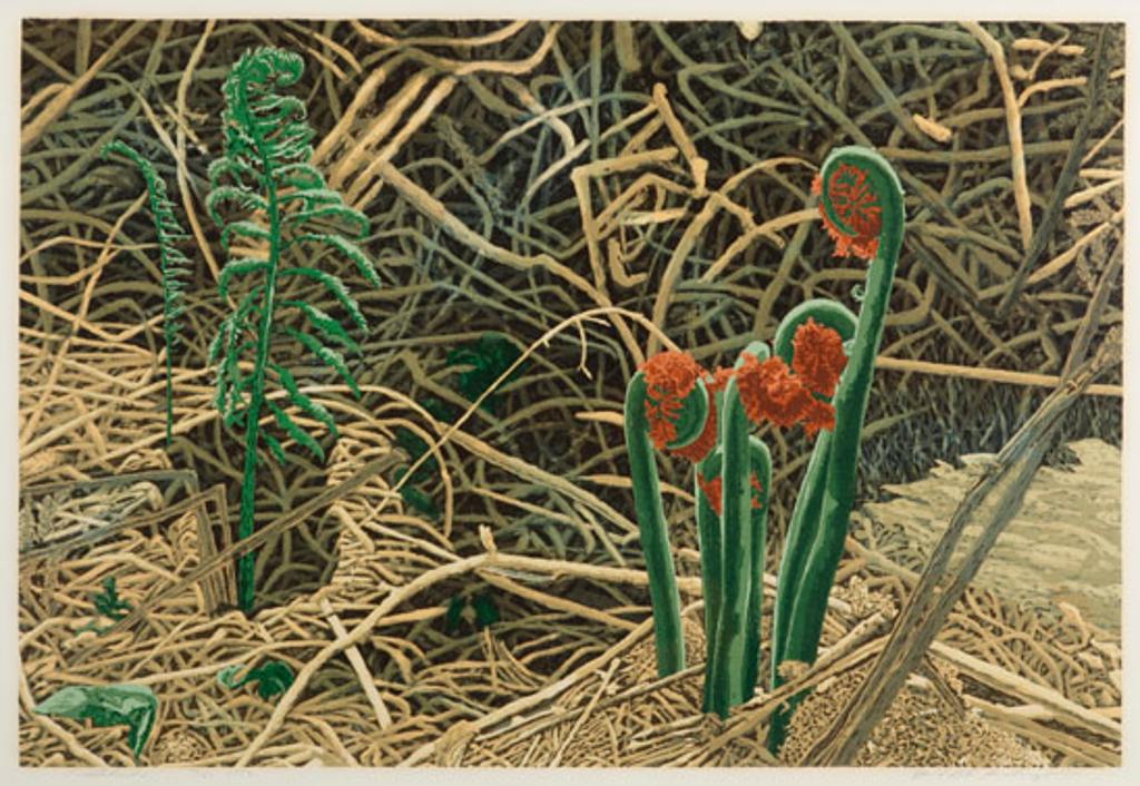 David Peter Hunsberger - Fiddleheads (03419/383)
