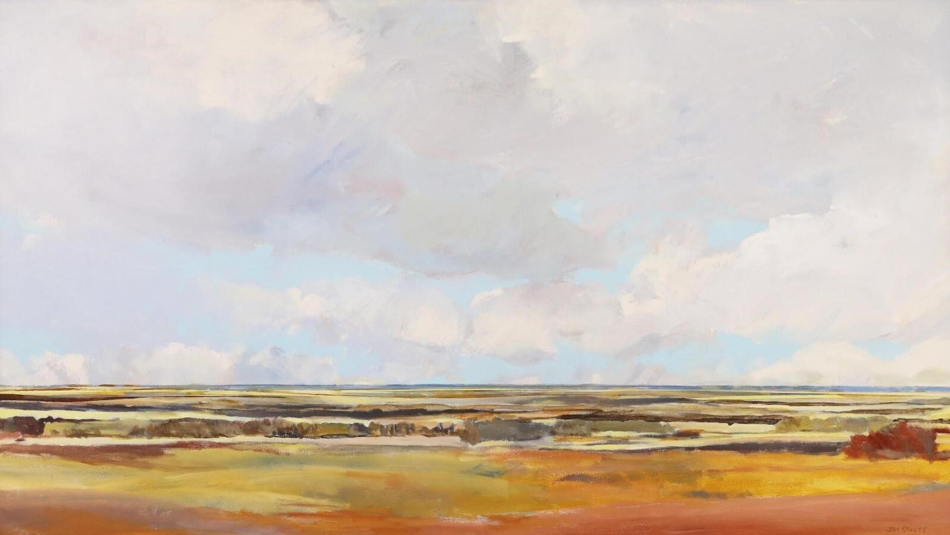 Jim Stokes (1959) - Fields & Sky