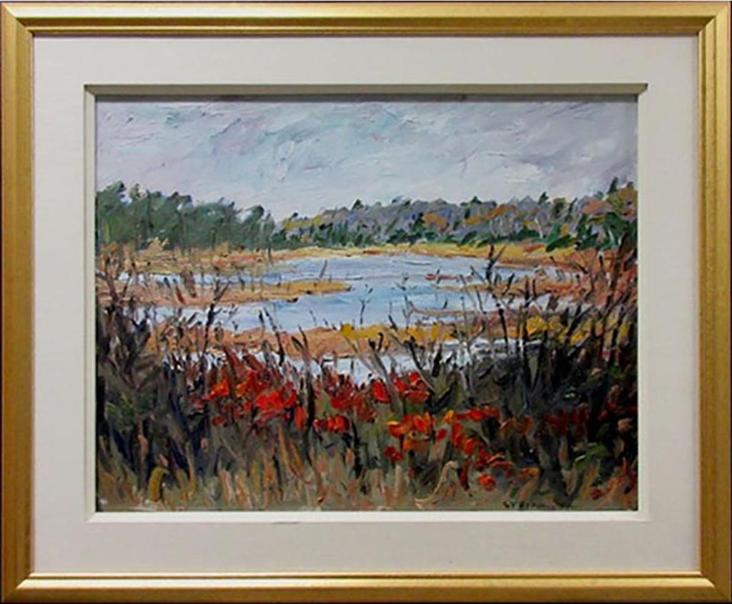 Bruce Steinhoff (1959) - Red Bushes