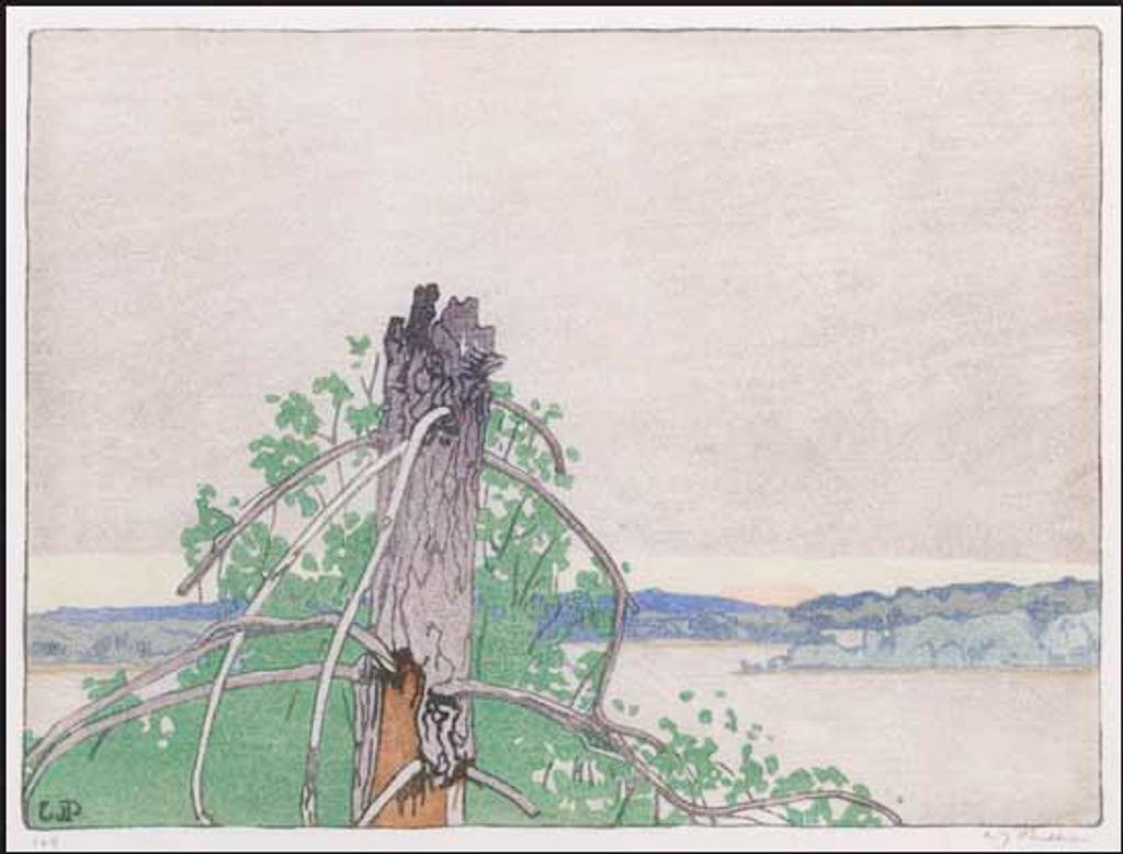 Walter Joseph (W.J.) Phillips (1884-1963) - The Stump