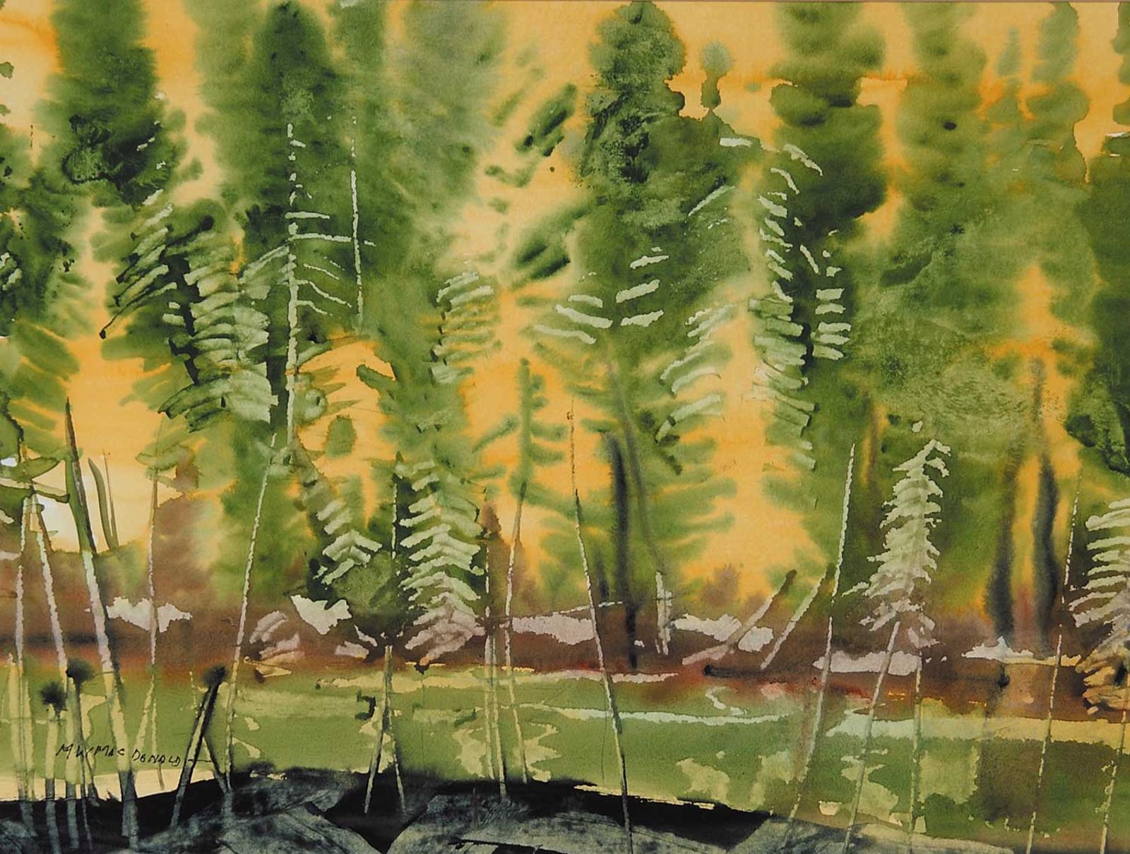 Murray William MacDonald (1898-1989) - Tamarack and Spruce