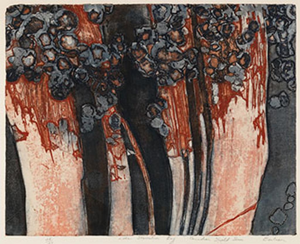 Edward John (Ted) Bartram (1938-2019) - Lichen, Starvation Bay, Canadian Shields Series (03705/1914)