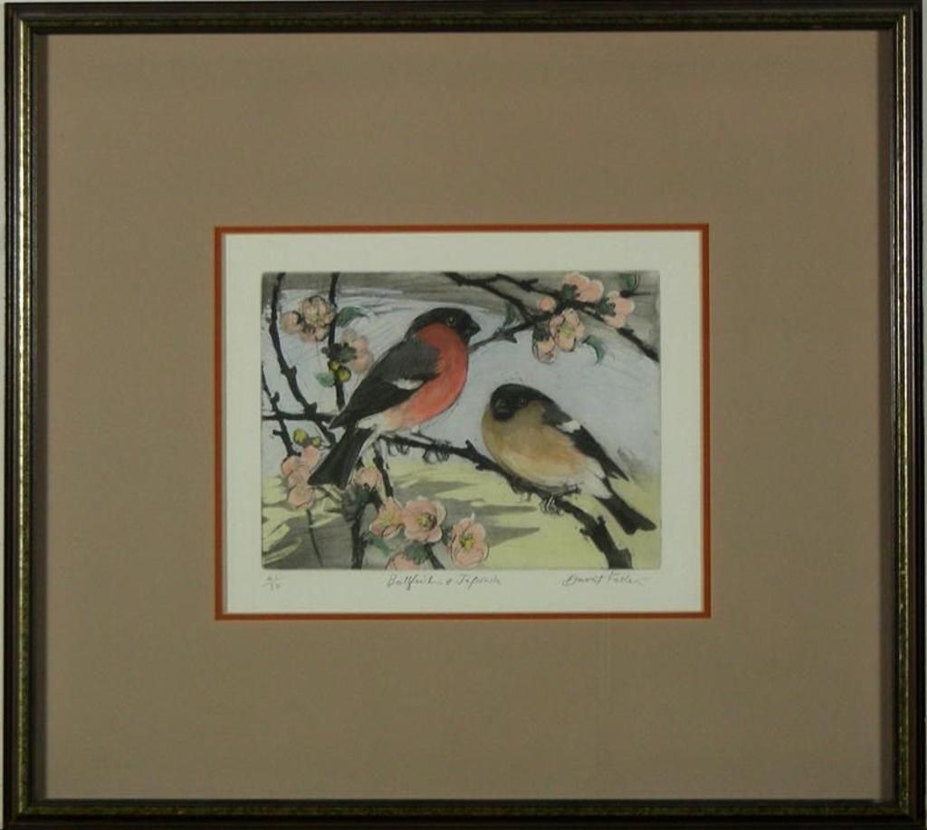 David Koster - Untitled
