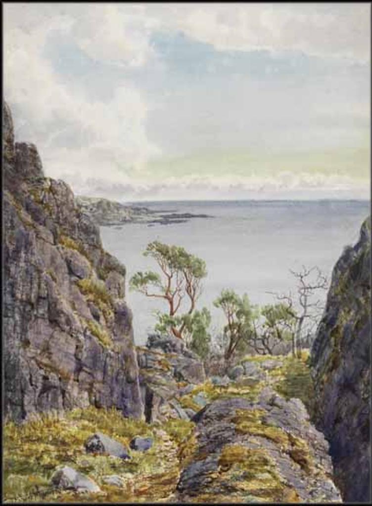 Thomas Mower Martin (1838-1934) - Vancouver Island Seascape