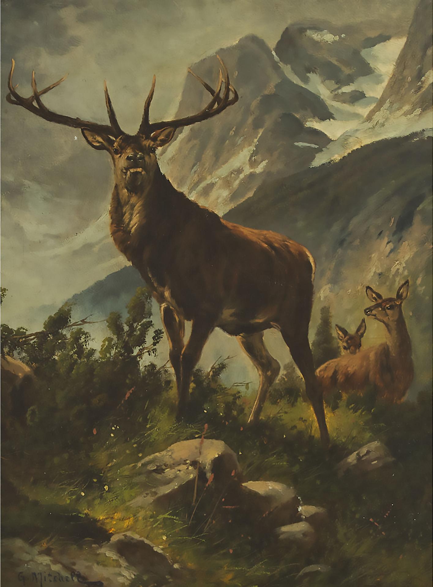 G. Mitchell - Rut Time