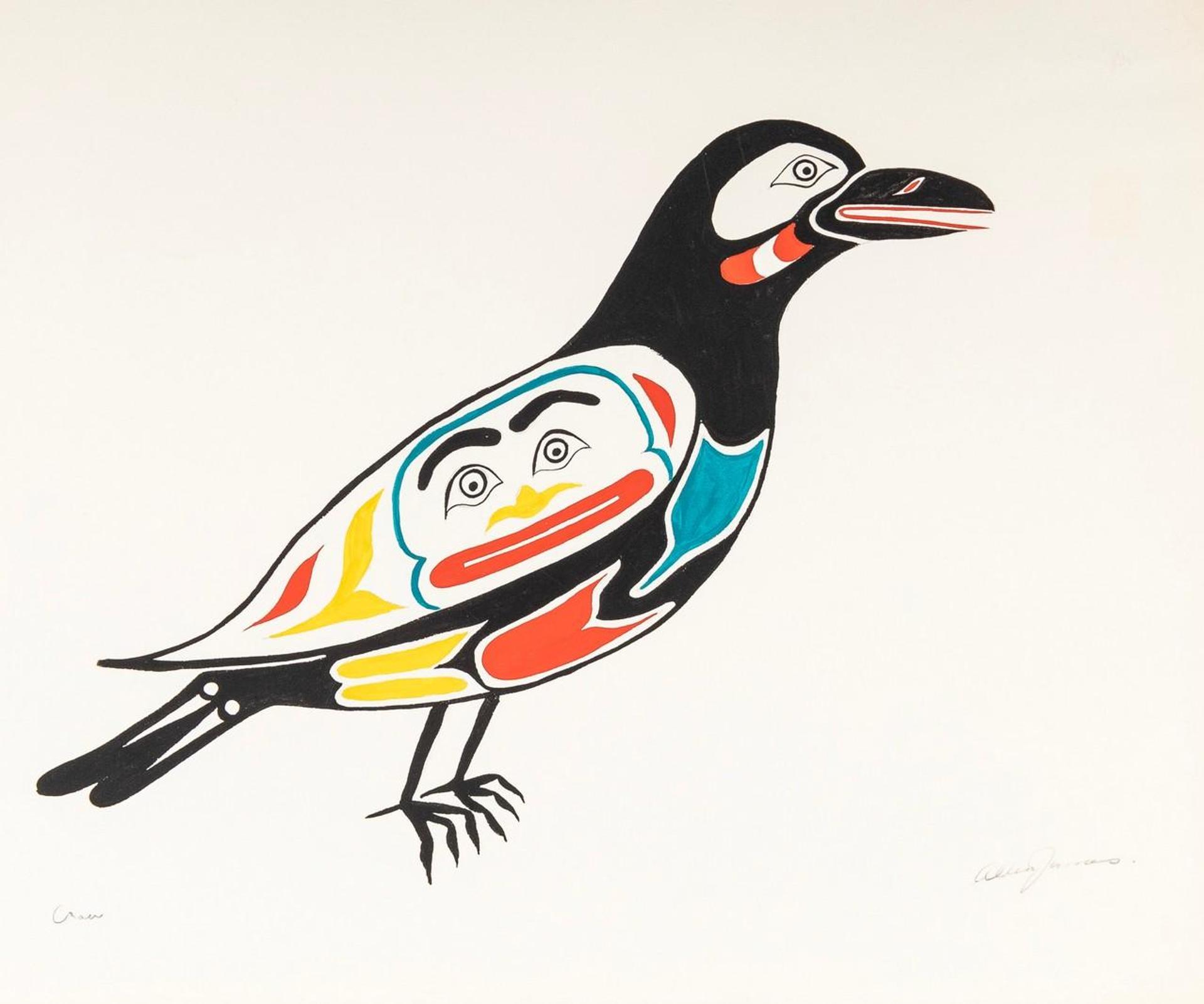 Allen James - Crow