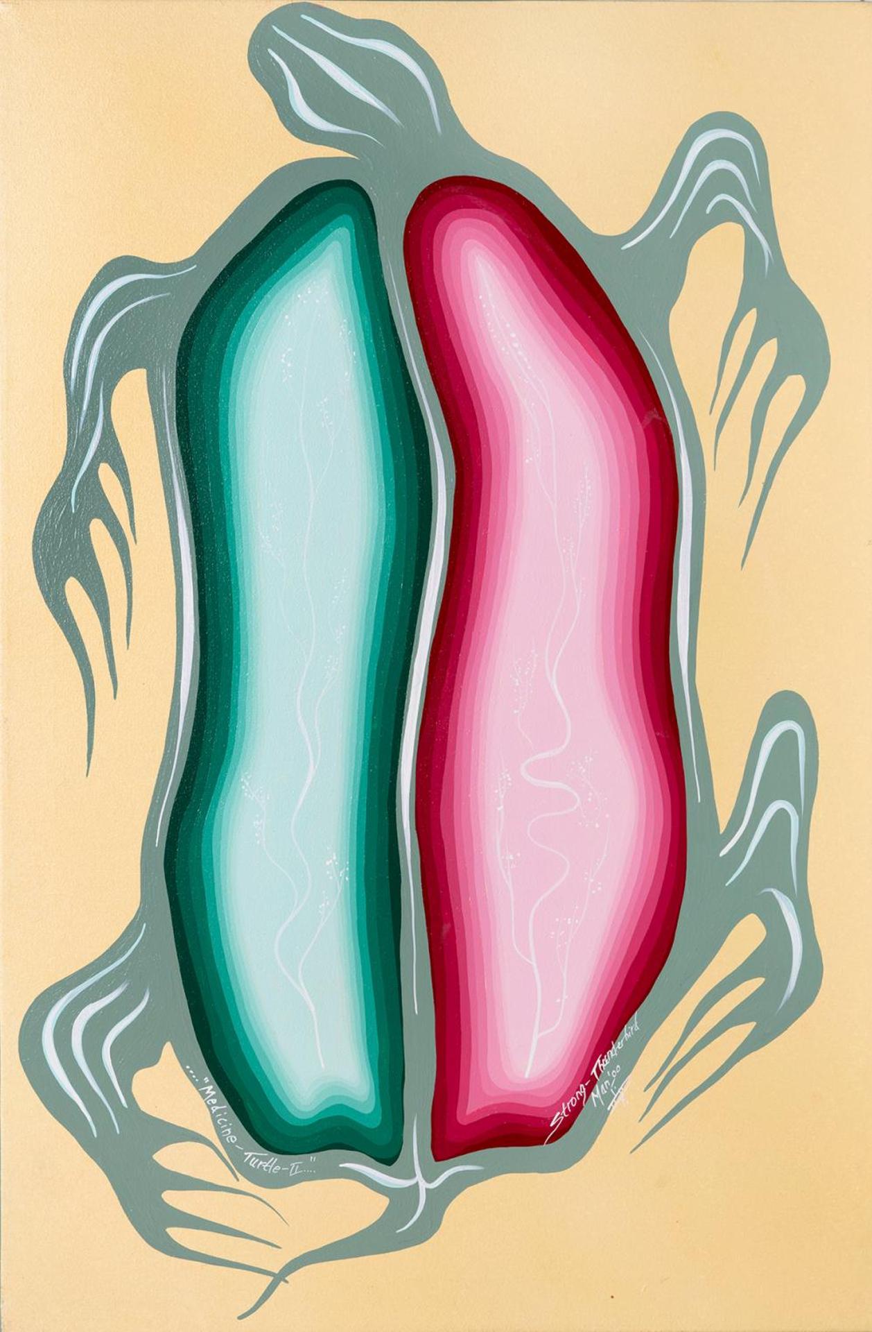Lloyd [Strong Thunderbird Man] Dubois (1964) - Medicine - Turtle II