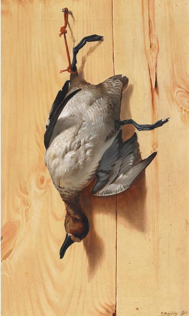 Thomas Mower Martin (1838-1934) - Widgeon