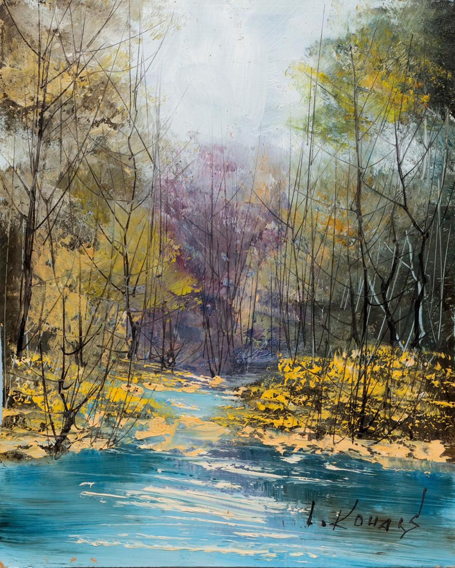 Les Kohak - Untitled - Summer Stream