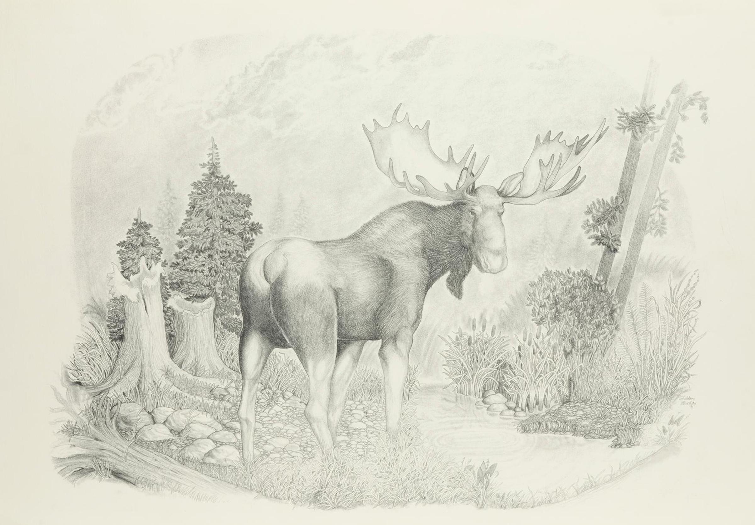 Sheldon Wiwchar - The Moose