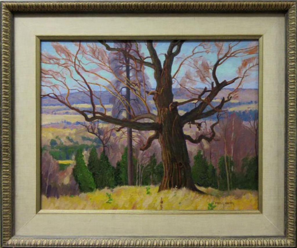Frederick Stanley Haines (1879-1960) - Untitled (The Mighty Oak)