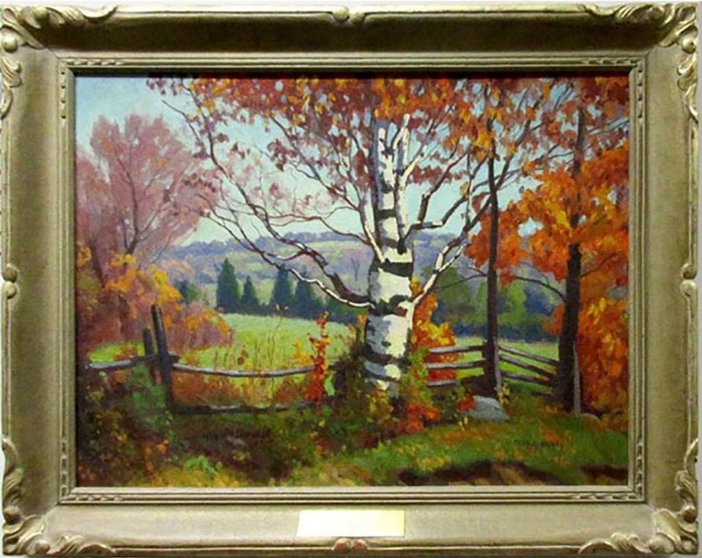 Frederick Stanley Haines (1879-1960) - Birch - Haliburton (Between Haliburton And Wilberforce)