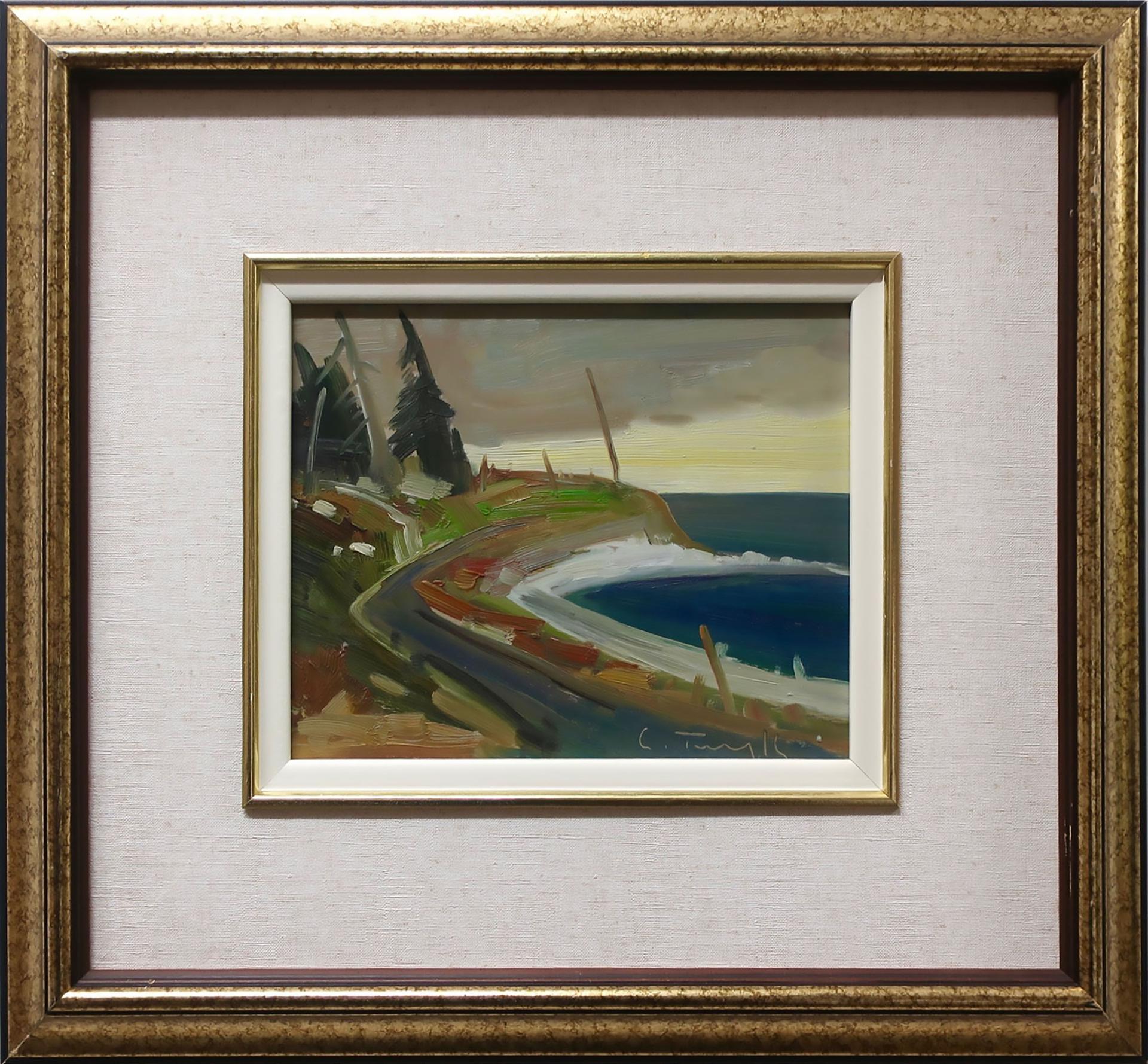 Louis Tremblay (1949) - Anticosti - Ile Aux Phoques, Pointe Du Dauphine