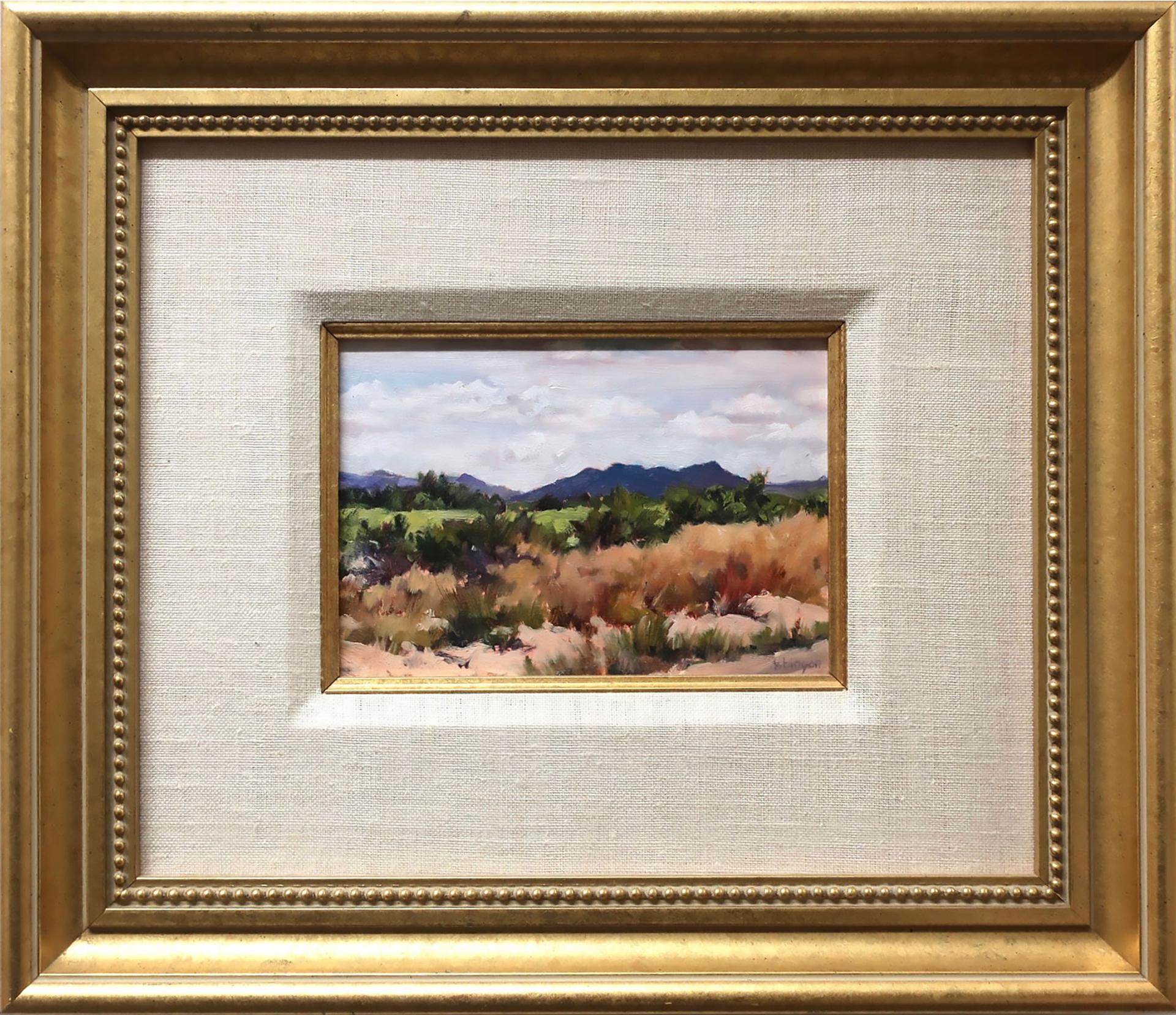 Kathy Hinson - Arizona Afternoon