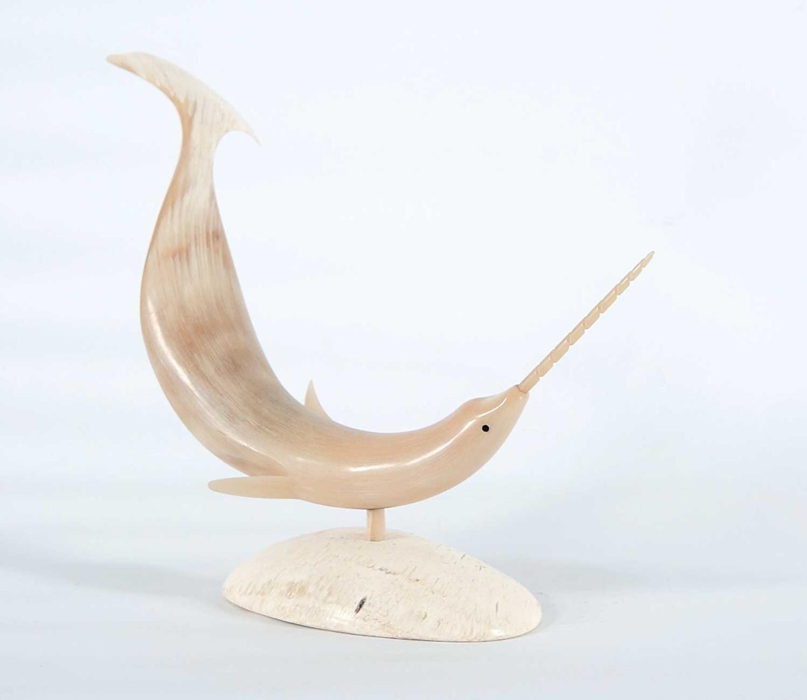 Notaina - Narwhal