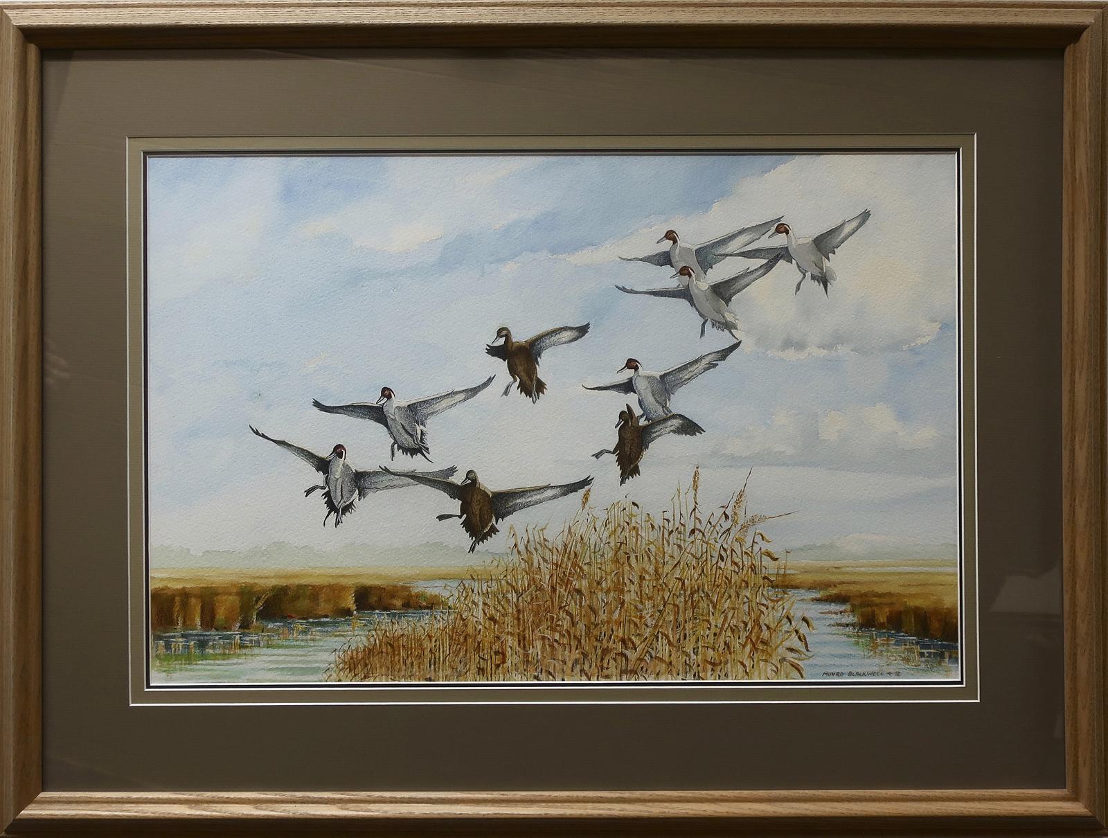 Munro Blackwell (1940-2018) - Ducks Landing