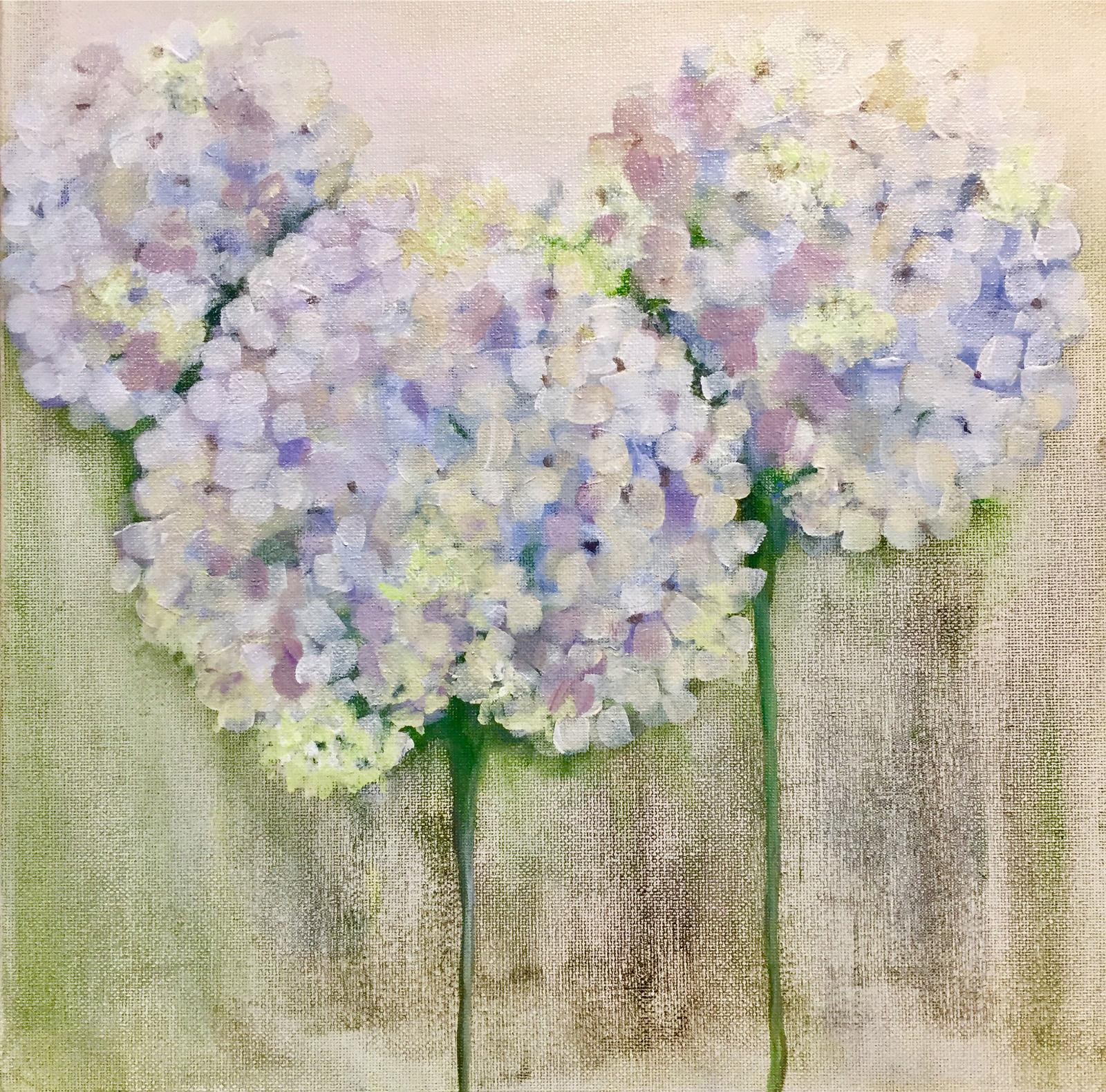 Nicky Hindmarsh - Hydrangeas