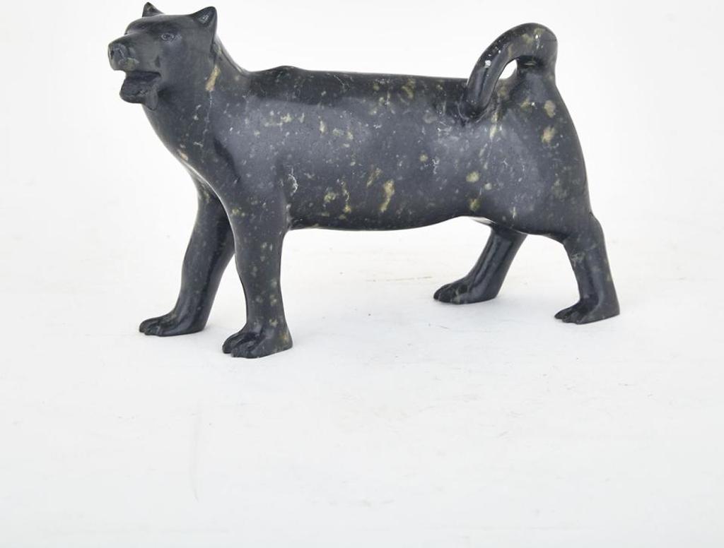 Paulassie Pootoogook (1927-2006) - Husky