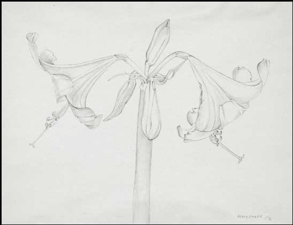 Mary Frances West Pratt (1935-2018) - Amaryllis Series No. 1