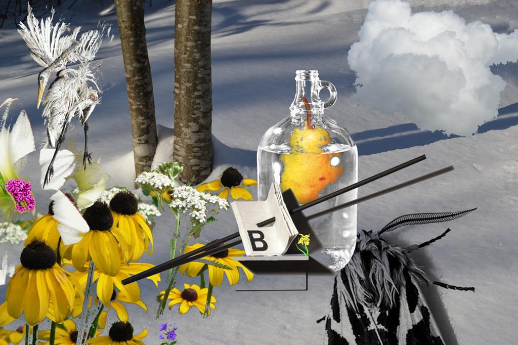 Marc-André Roy - Nature morte à la lettre B, 2012